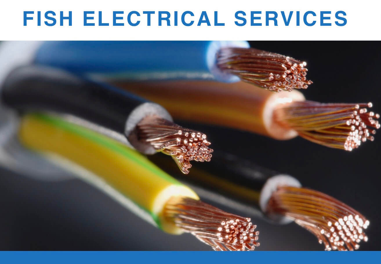 Fish Electrical Services logo